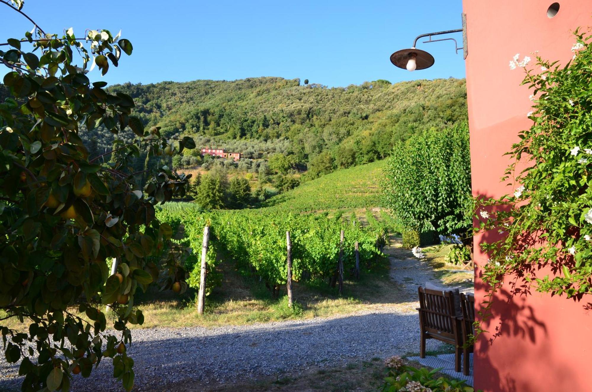 לוקה Agriturismo Le Murelle מראה חיצוני תמונה