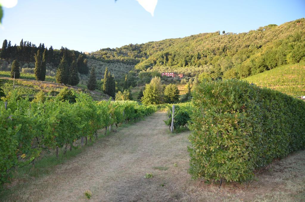 לוקה Agriturismo Le Murelle מראה חיצוני תמונה